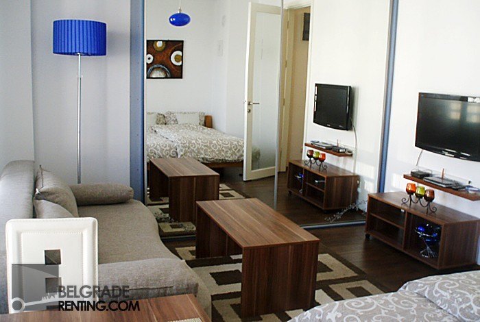 Living room - Apartment Ciklama Belgrade
