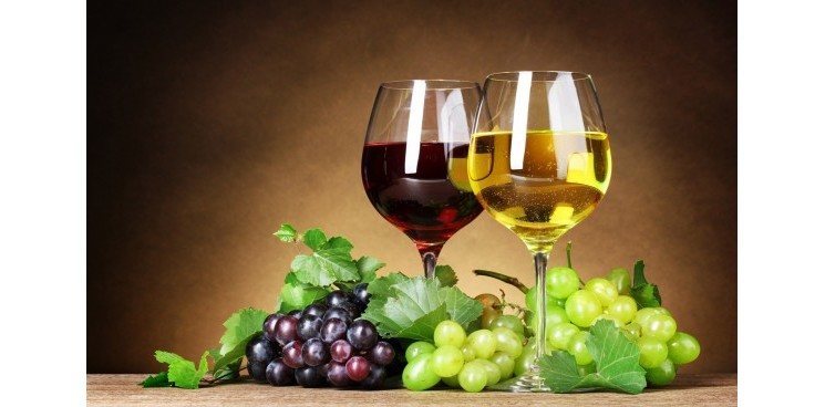 Sajam vina
